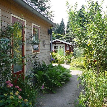 Zonneraai Villa Nieuweroord Екстериор снимка