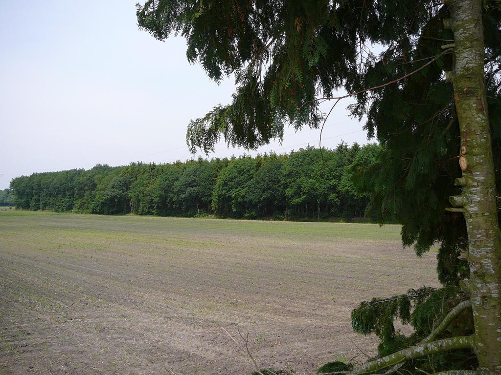 Zonneraai Villa Nieuweroord Екстериор снимка